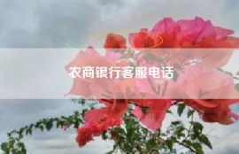 农商银行客服电话