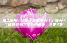 精选整理，信用不好急用钱什么借钱软件能通过网贷平台一览表，拿走不谢