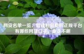 网贷名单一览，借钱利息低的正规平台有哪些网贷口子，拿走不谢