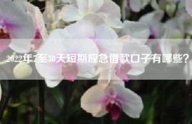 2022年7至30天短期应急借款口子有哪些？