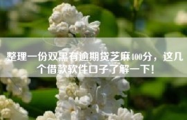 整理一份双黑有逾期贷芝麻400分，这几个借款软件口子了解一下！