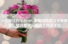 19岁借钱的平台100%能借到网贷口子有哪些？精选整理分享几个网贷平台