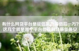 有什么网贷平台是征信黑急需借款一万？这几个就是哪个平台借钱利息最低最安全
