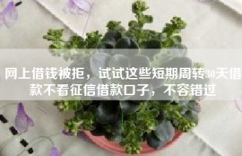 网上借钱被拒，试试这些短期周转30天借款不看征信借款口子，不容错过