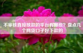 不审核直接放款的平台有哪些？盘点几个网贷口子好下款的