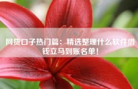 网贷口子热门篇：精选整理什么软件借钱立马到账名单！