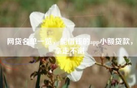 网贷名单一览，能借钱的app小额贷款，拿走不谢