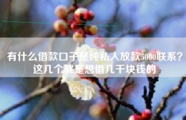 有什么借款口子是纯私人放款5000联系？这几个就是想借几千块钱的