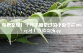 精选整理！千万不能错过的小额借款1000元马上放款网贷app