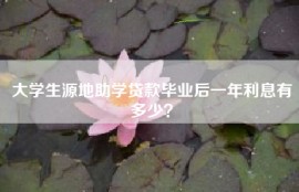 大学生源地助学贷款毕业后一年利息有多少？