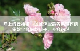 网上借钱被拒，试试这些最容易通过的贷款平台借款口子，不容错过