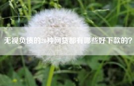无视负债的20种网贷都有哪些好下款的？