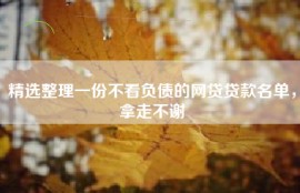 精选整理一份不看负债的网贷贷款名单，拿走不谢