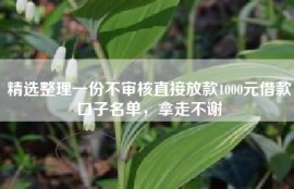 精选整理一份不审核直接放款1000元借款口子名单，拿走不谢