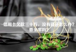 信用卡欠款三十万，没有钱还怎么办？要坐牢吗？