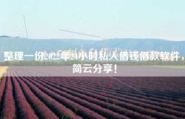 整理一份2022年24小时私人借钱借款软件，简云分享！