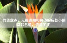 网贷盘点，无视逾期和负债的贷款小额贷款名单，值得关注！