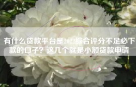 有什么贷款平台是2022综合评分不足必下款的口子？这几个就是小额贷款申请