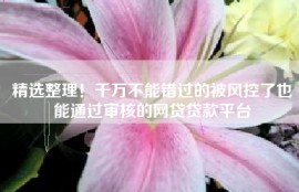 精选整理！千万不能错过的被风控了也能通过审核的网贷贷款平台