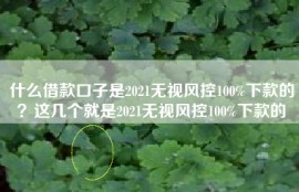什么借款口子是2021无视风控100%下款的？这几个就是2021无视风控100%下款的