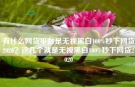 有什么网贷平台是无视黑白100%秒下网贷2020？这几个就是无视黑白100%秒下网贷2020