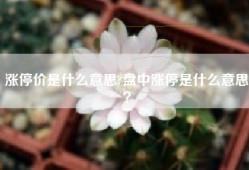 涨停价是什么意思?盘中涨停是什么意思？