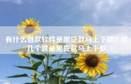 有什么借款软件是黑贷款马上下款？这几个就是黑贷款马上下款