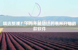 精选整理！千万不能错过的来米分期借款软件