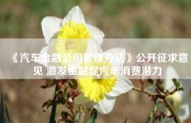 《汽车金融公司管理办法》公开征求意见 激发金融促汽车消费潜力