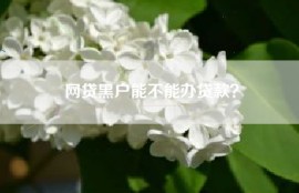 网贷黑户能不能办贷款？