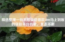 精选整理一份不看征信借款5000马上到账的贷款平台名单，拿走不谢