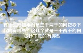 有什么网贷平台是三千两千的网贷秒下款的有哪些？这几个就是三千两千的网贷秒下款的有哪些
