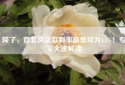 降了，首套房贷款利率最低可为4.4%！专家火速解读
