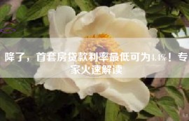 降了，首套房贷款利率最低可为4.4%！专家火速解读