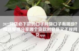 2022网贷必下款的口子网贷口子有哪些？精选整理分享哪个贷款利息低又正规网贷app