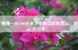 整理一份5000元必下小额贷款网贷app，简云分享！