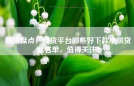 网贷盘点，网贷平台哪些好下款小额贷款名单，值得关注！