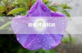 股票开盘时间