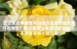 征信黑名单哪里可以借钱急用啊借款软件有哪些？精选整理分享借钱秒到账app不需要审核小额贷款