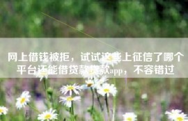网上借钱被拒，试试这些上征信了哪个平台还能借贷款贷款app，不容错过