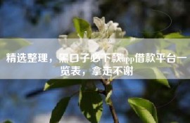 精选整理，黑口子必下款app借款平台一览表，拿走不谢