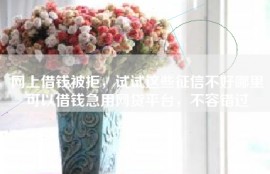 网上借钱被拒，试试这些征信不好哪里可以借钱急用网贷平台，不容错过