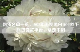 网贷名单一览，2022年无视黑白100%秒下网贷贷款平台，拿走不谢
