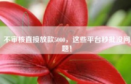 不审核直接放款5000，这些平台秒批没问题！