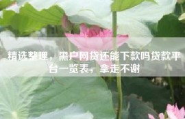 精选整理，黑户网贷还能下款吗贷款平台一览表，拿走不谢