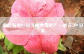 车险有哪些服务是免费的？一般有5种服务