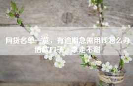 网贷名单一览，有逾期急需用钱怎么办借款口子，拿走不谢