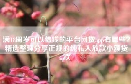 满18周岁可以借钱的平台网贷app有哪些？精选整理分享正规的纯私人放款小额贷款