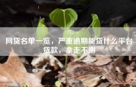 网贷名单一览，严重逾期能贷什么平台贷款，拿走不谢