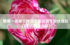 整理一份哪个网贷不看征信下款快借款口子，简云分享！